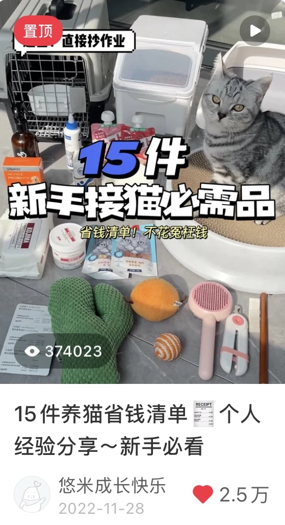 新手养猫好物