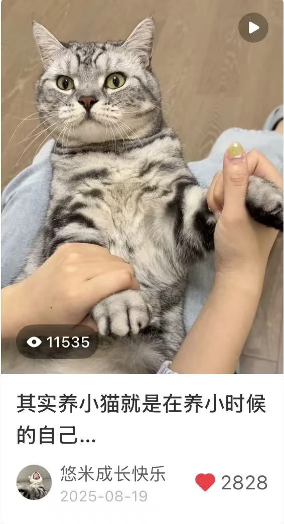 趣味种草